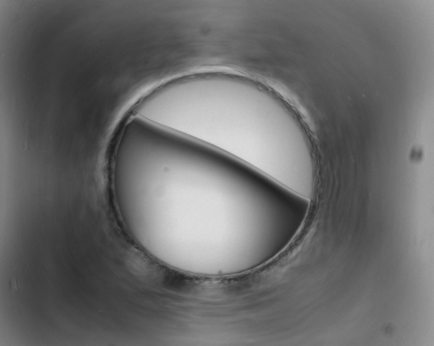 X0000103251167200808281050