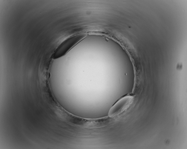 X0000103251169200808281050