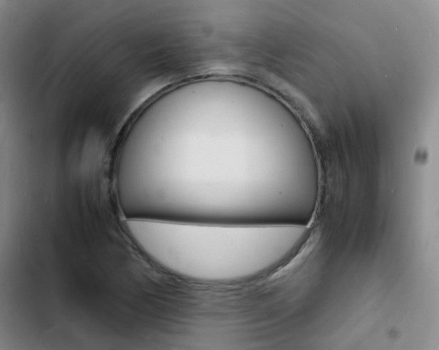 X0000103251170200808281050