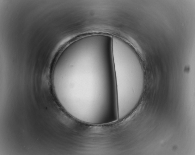 X0000103251172200808281050