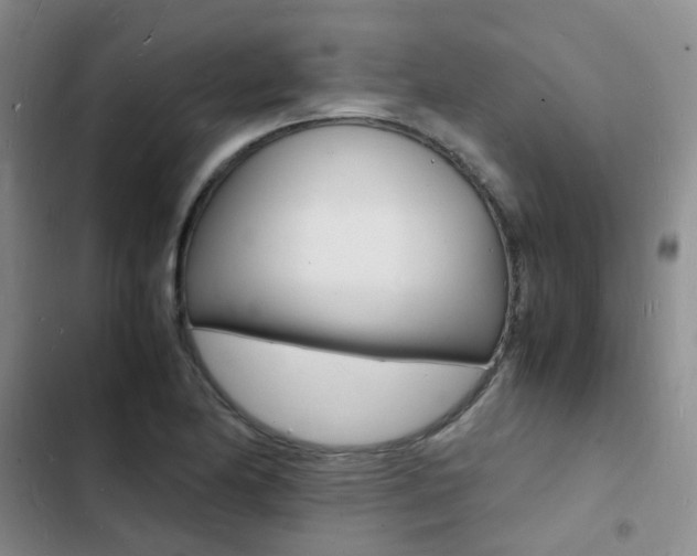 X0000103251174200808281050
