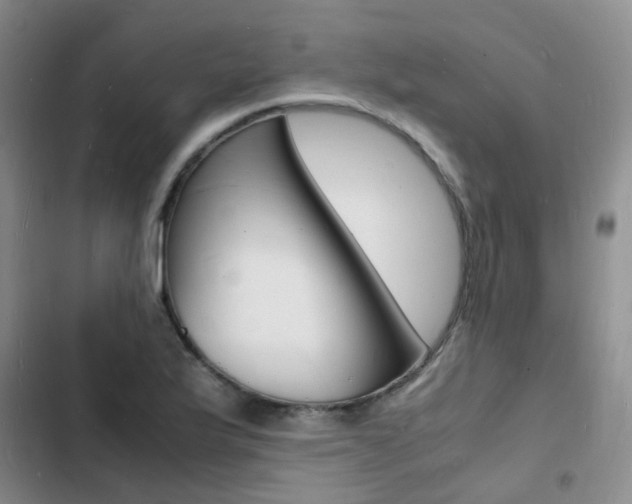 X0000103251175200808281050