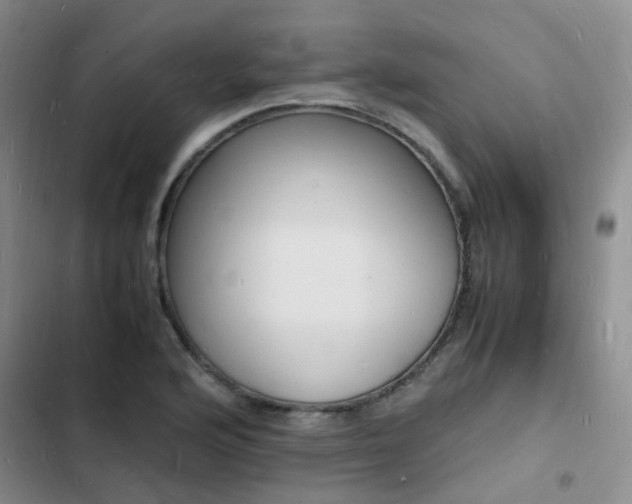 X0000103251176200808281050