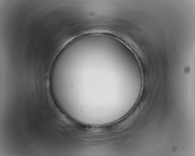 X0000103251177200808281050
