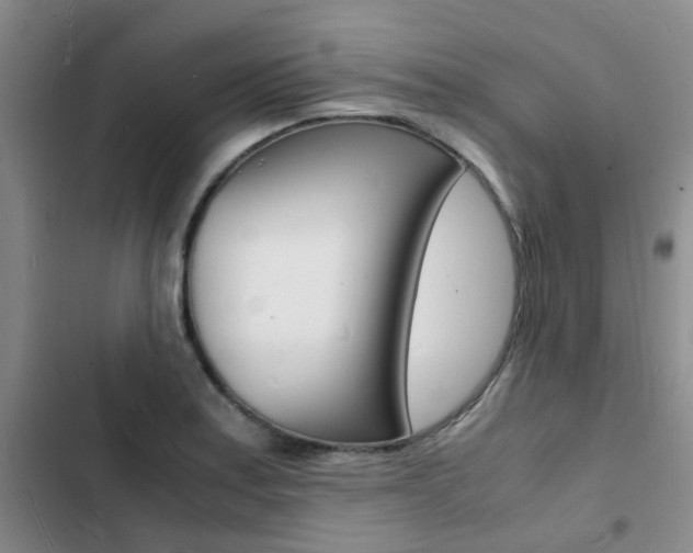 X0000103251179200808281050