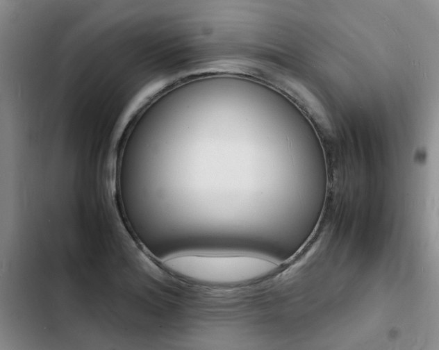 X0000103251180200808281050