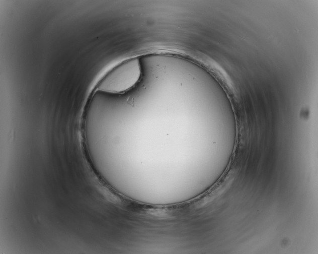 X0000103251182200808281049