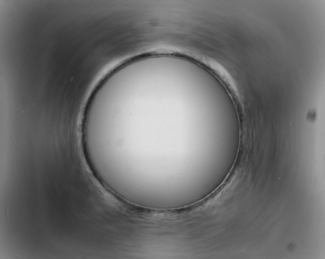X0000103251183200808281049