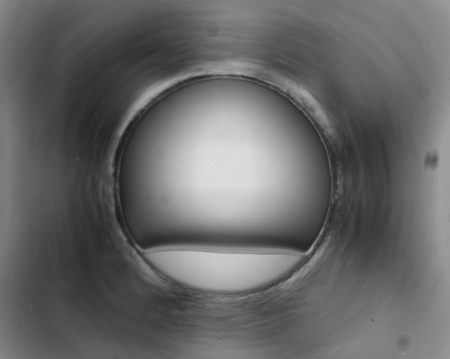 X0000103251184200808281049