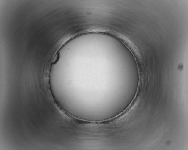 X0000103251185200808281049