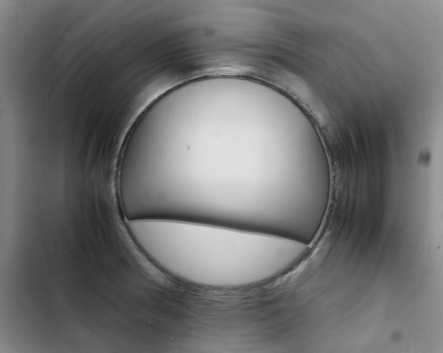 X0000103251186200808281049