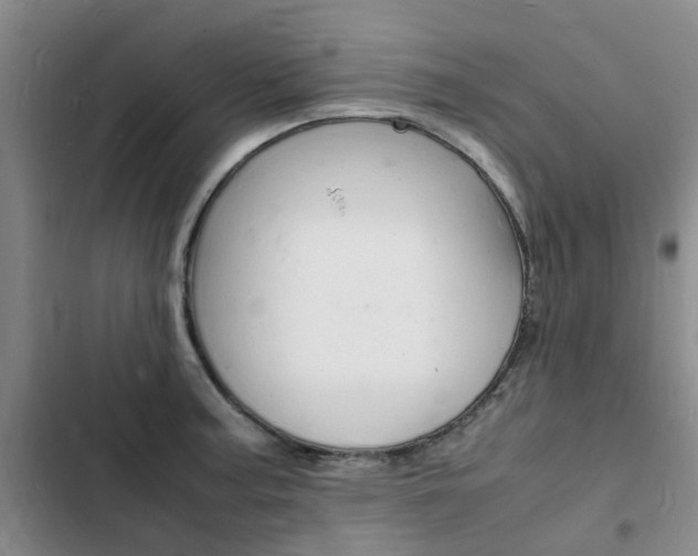 X0000103251187200808281049