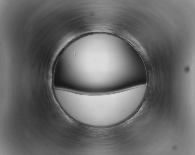 X0000103251188200808281049