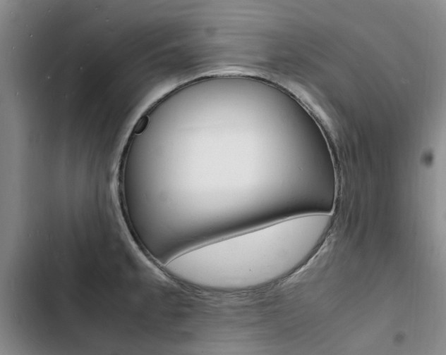 X0000103251189200808281049