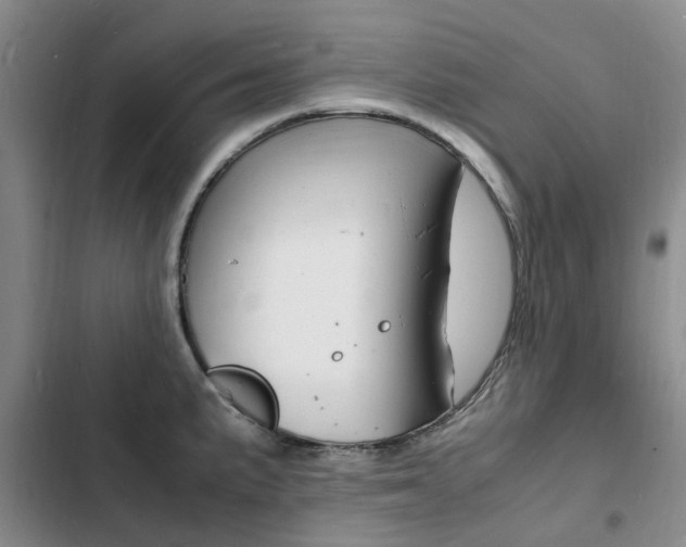 X0000103251191200808281049
