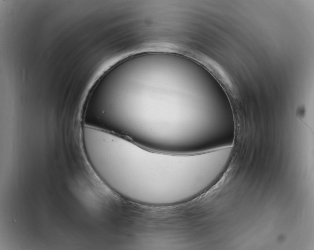 X0000103251192200808281049
