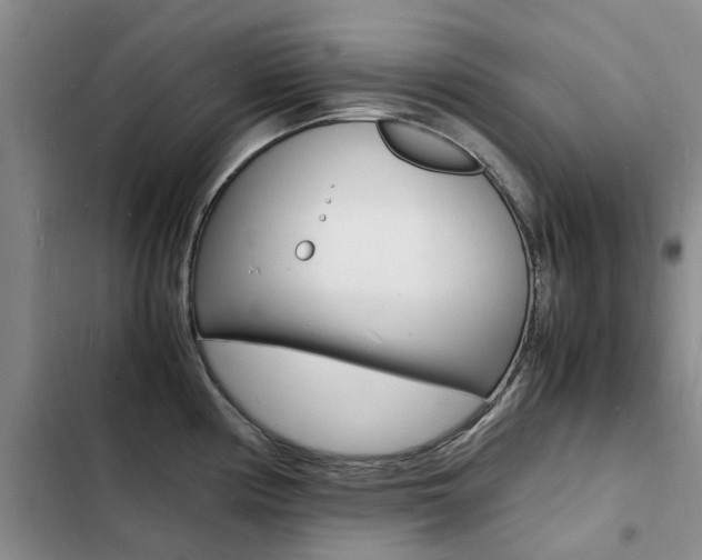 X0000103251194200808281049