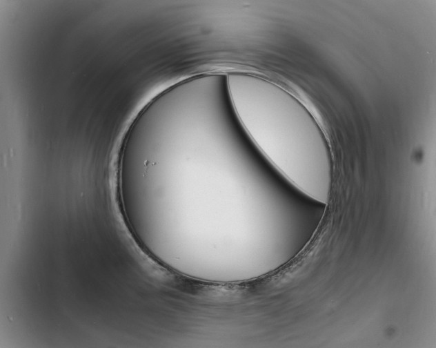 X0000103251195200808281049
