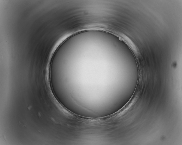 X0000103251196200808281049