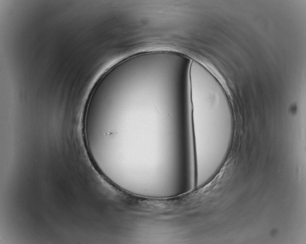 X0000103251197200808281049