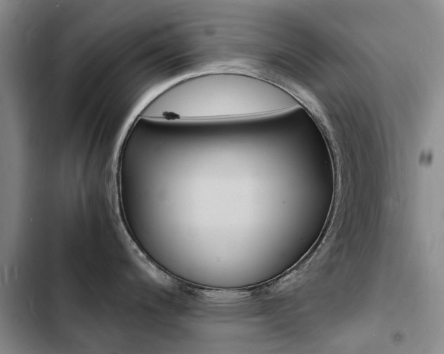 X0000103251200200808281049
