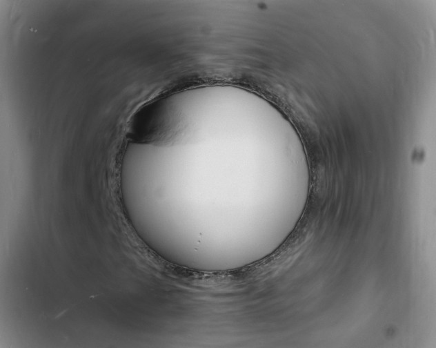 X0000103251201200808281048