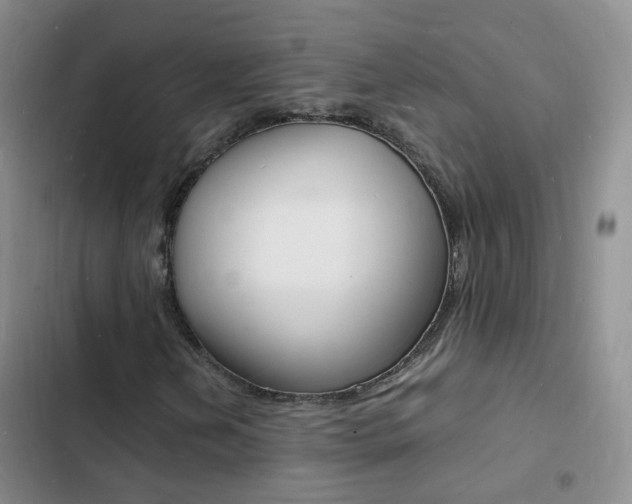 X0000103251202200808281048
