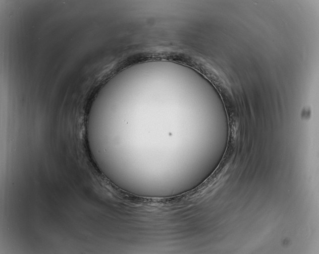 X0000103251204200808281048
