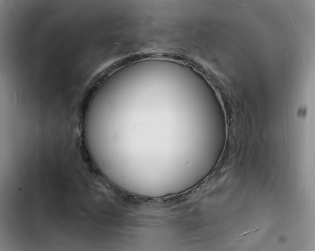X0000103251206200808281048