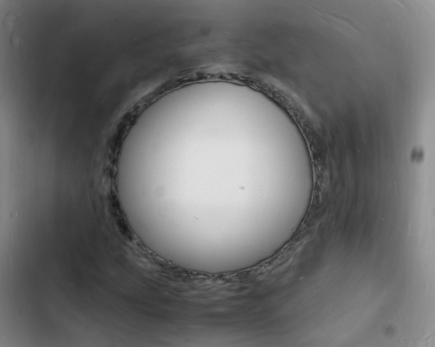 X0000103251207200808281048