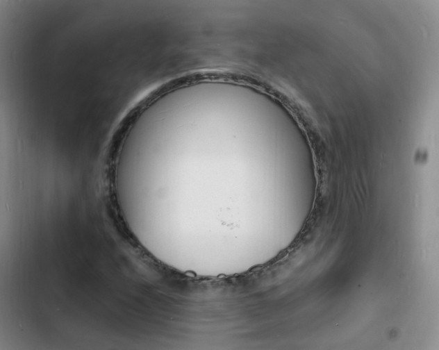 X0000103251208200808281049