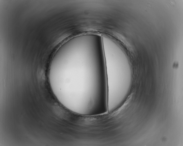 X0000103251209200808281049