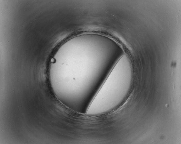 X0000103251213200808281049