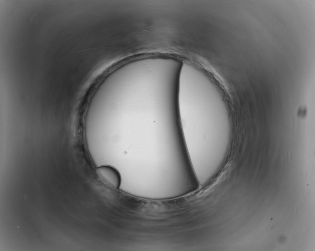 X0000103251215200808281049