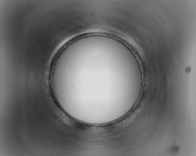 X0000103251216200808281049