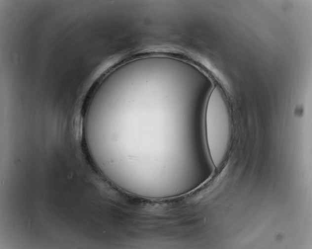 X0000103251221200808281049