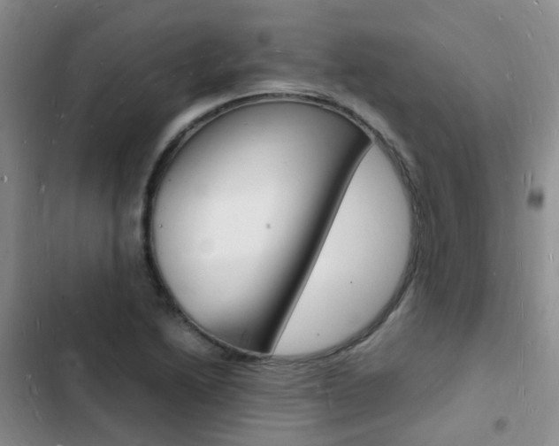 X0000103251222200808281049