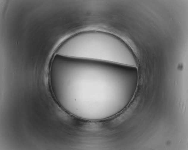 X0000103251224200808281049