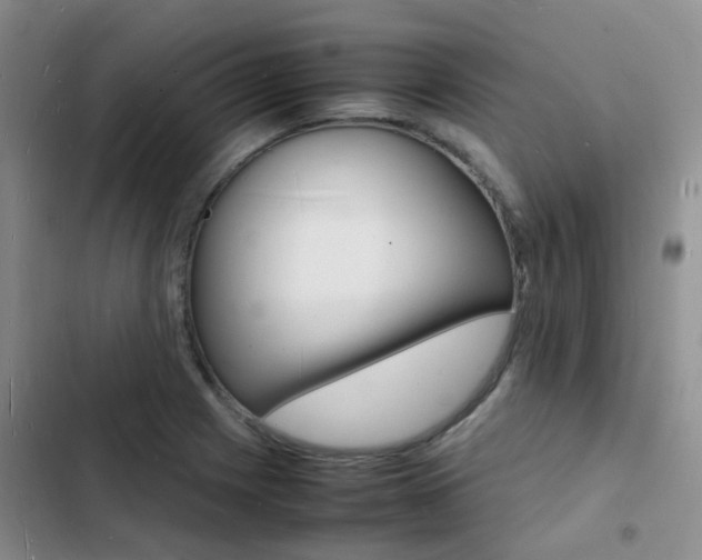 X0000103251225200808281049