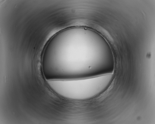 X0000103251226200808281049
