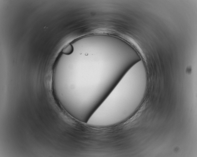 X0000103251227200808281049