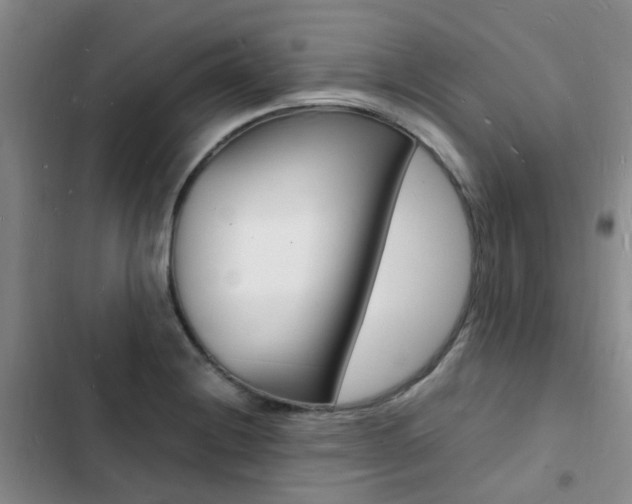 X0000103251228200808281049