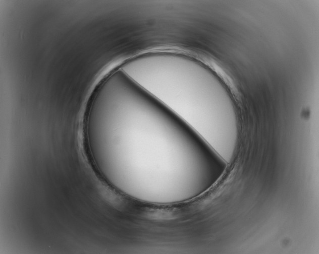 X0000103251229200808281049