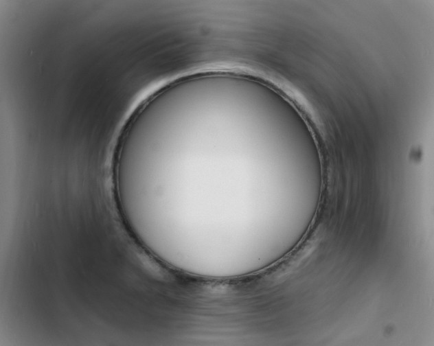 X0000103251230200808281049