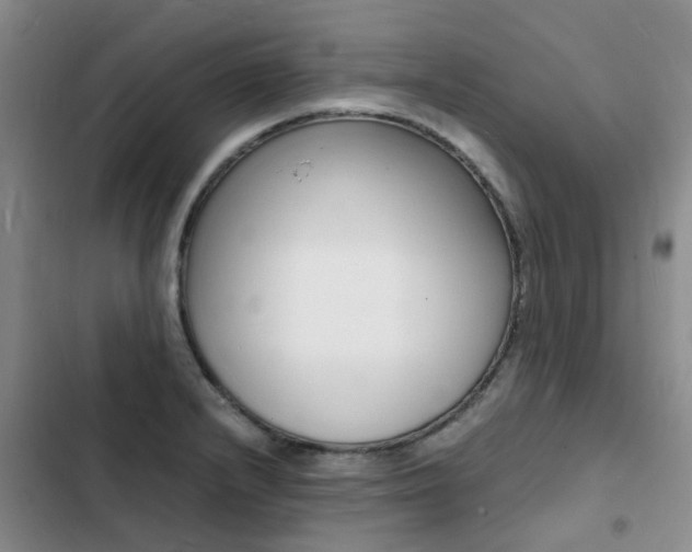 X0000103251232200808281049