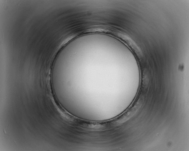X0000103251233200808281049