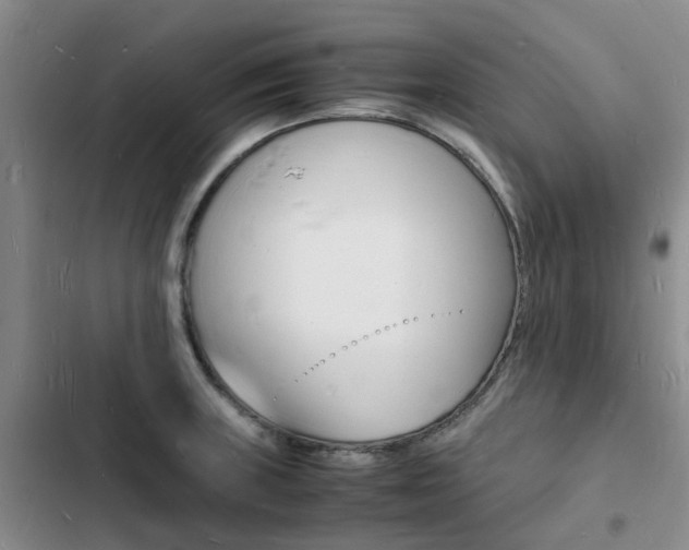 X0000103251235200808281049