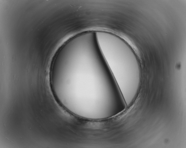 X0000103251237200808281049