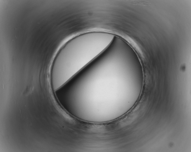 X0000103251238200808281049