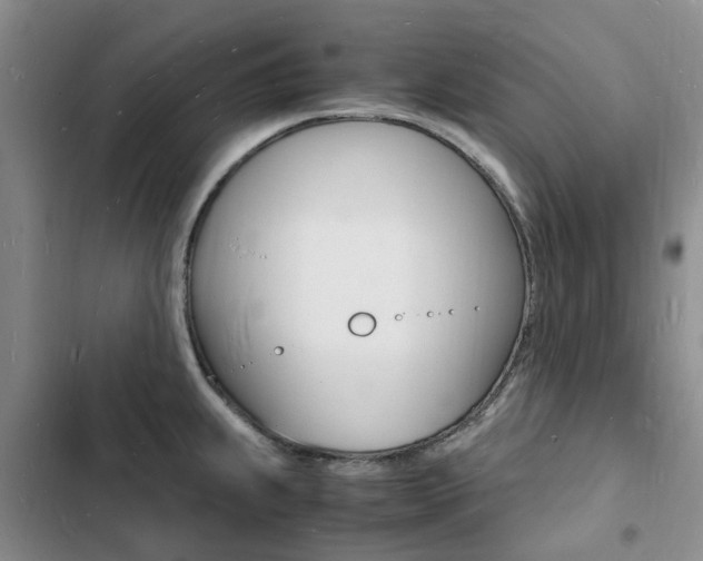 X0000103251239200808281049